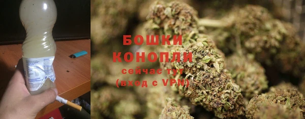 молекула духа Новокубанск