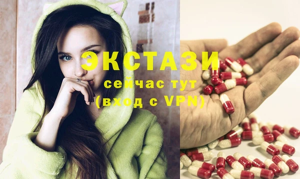 СК Новозыбков