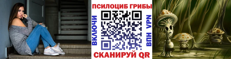 Галлюциногенные грибы Cubensis  Купить  Шилка 